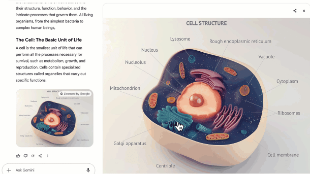 Das Bild einer Zelle in Gemini. 