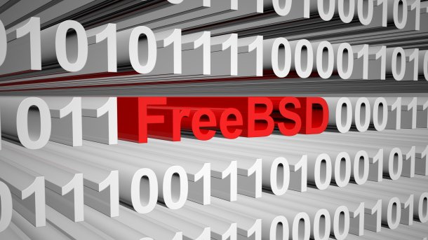 FreeBSD-Schriftzug vor 0ern und 1ern