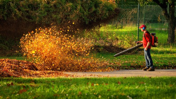 Leaf blower in action