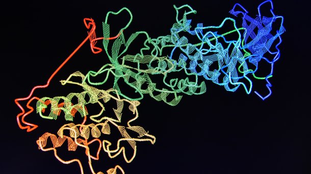 Struktur eines Proteins