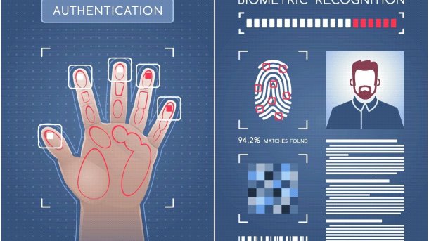 Biometric Authentication. Two graphic screens representing biometric scanner and software module of a Biometrical Identification System. Vector illustration on the subject of 'Business Security'.