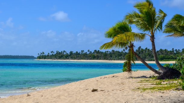 Island with palm trees