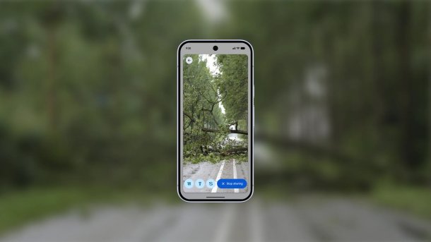 Bild von einem Smartphone, das auf dem Bildschirm einen auf die Straße gefallenen Baum zeigt