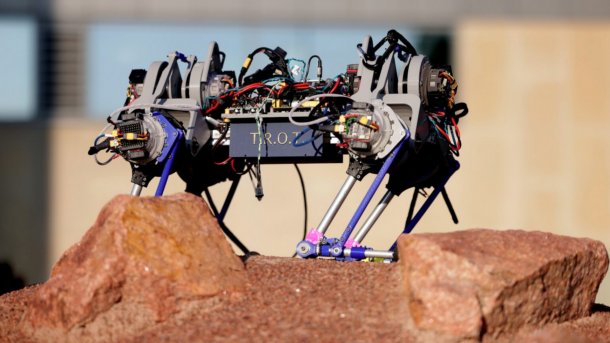 TROT robot on a rock.