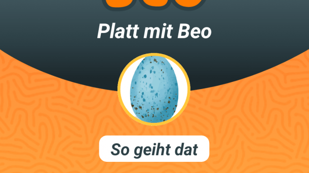 Screenshot aus der App Platt mit Beo, Startbildschirm