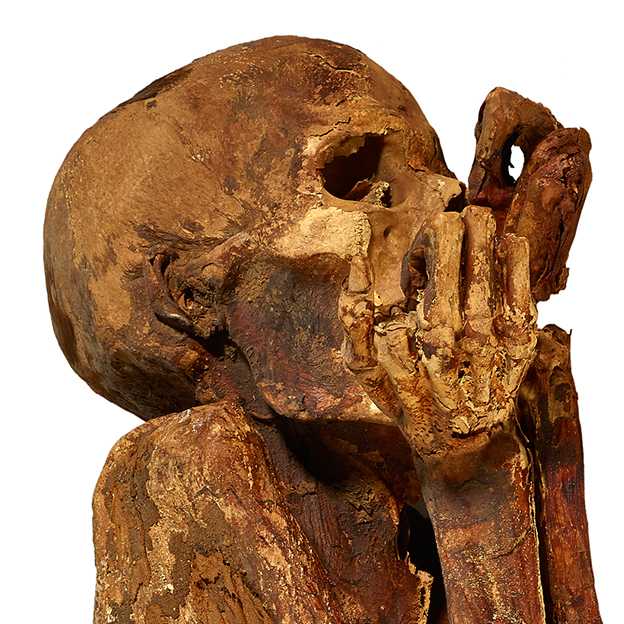 Alt wurden die Menschen damals nicht. Die Forscher schätzen, dass dieser nur 1,60 m große Mann nur 20 bis 35 Jahre alt wurde. Seine Mumie ist 5500 Jahre alt.