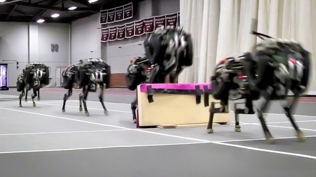 Roboter Cheetah springt