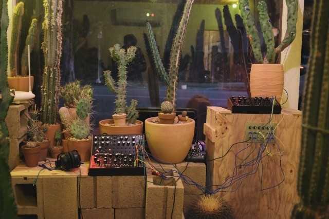 Laut Moog werden die Synthesizer derzeit für eine Installation namens &quot;BioRhythmia&quot; genutzt. Die Kontrollspannungen zur Steuerung der Instrumente werden dabei von einem Kaktus geliefert, sodass man der Musik der Pflanze lauschen kann. Ob der 30 Jahre alte Kaktus bereits Urheberrechte an seiner Musik geltend gemacht hat, ist bislang nicht bekannt.