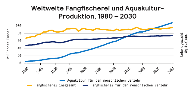 Die weltweite Aquakultur-Produktion steigt kontinuierlich an und übersteigt seit einigen Jahren den gesamten globalen Fischfang., Quelle: Food and Agriculture Organization of the United Nations