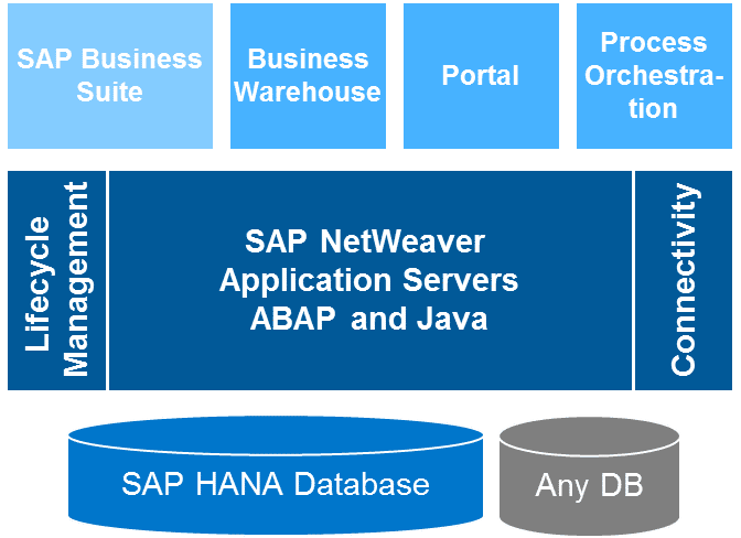 Netweavers Position im SAP-Umfeld