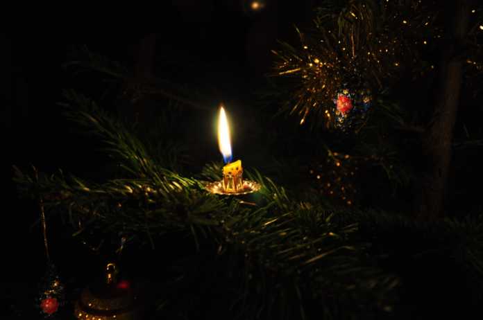 Kerze im Weihnachtsbaum