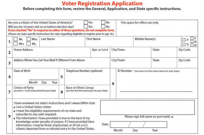 Das Registrierungsformular für US-Wähler: Diese und andere Daten sind an die ÖFfentlichkeit gelangt.