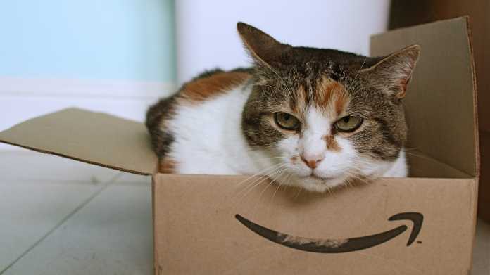 Katze lugt aus Amazon-Schachtel