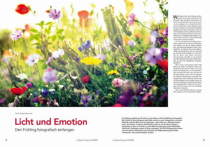 Licht und Emotion: Autor Ralph Tobias Ackermann zeigt, wie Sie den Frühling fotografisch einfangen.