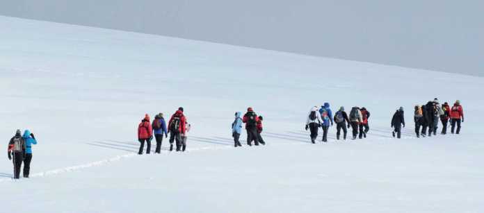 Winterwandern grafisch vereinfacht, hier als ?Bunt auf Weiß? an der Antarktischen Halbinsel.