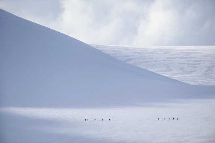 Kleiner Mensch in großem Weiß: Bergsteiger auf dem Weg zum Gipfel, Antarktische Halbinsel. Der eng gewählte Ausschnitt betont die grafischen Elemente im Bild. <br />
<br />
Nikon D700 mit AF-S-Nikkor 4/500 mm  500 mm  ISO 400  f/5.6  1/3200 s