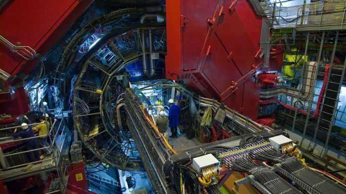 Teilchenbeschleuniger LHC: Steinmarder unterbricht Suche nach rätselhaftem Teilchen