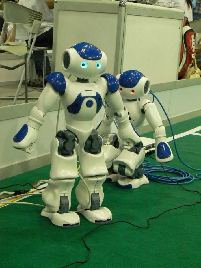 Standard-Roboterplattform Nao