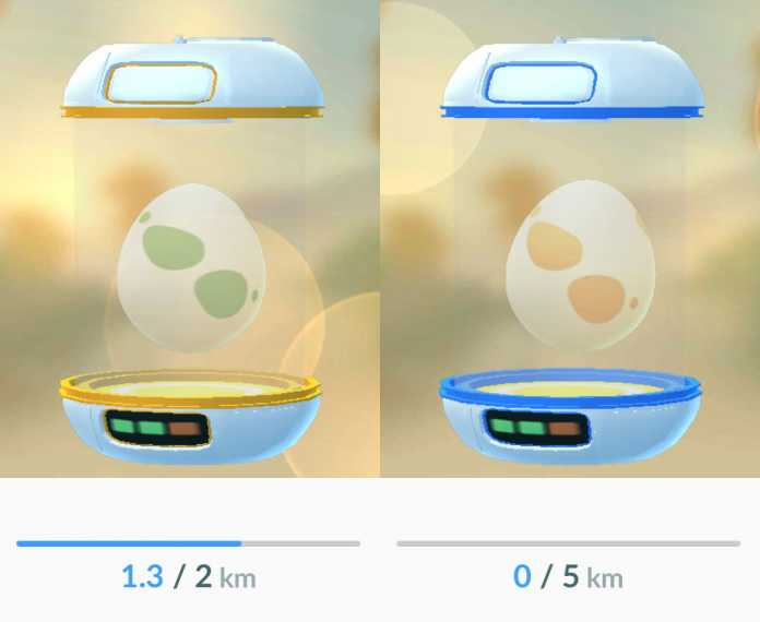 Eier, die man über unterschiedlich lange Strecken ausbrüten muss, erkennt man jetzt an der Farbe.