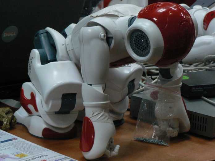 Der neue Standardroboter Nao