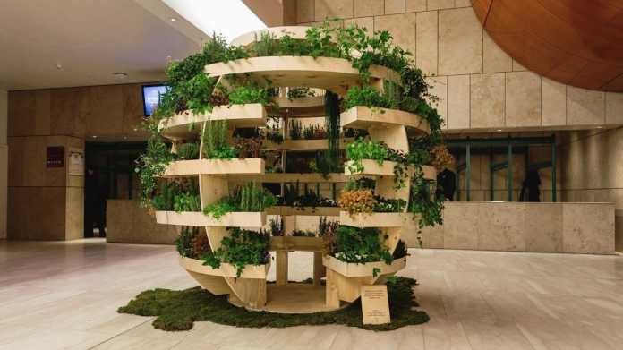 Holzgestell mit Pflanzen