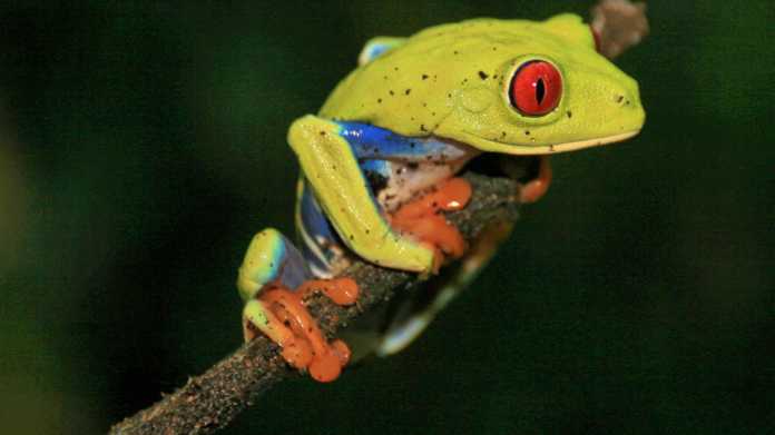 Reisefotografie: c't Fotografie unterwegs in Costa Rica