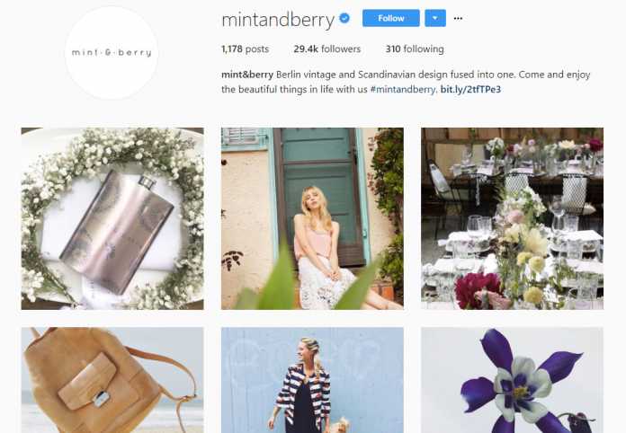 Ein Like-Bot sollte dem Instagram-Account von Mint &amp; Berry mehr Reichweite verschaffen. Doch dann flog die Manipulation auf.