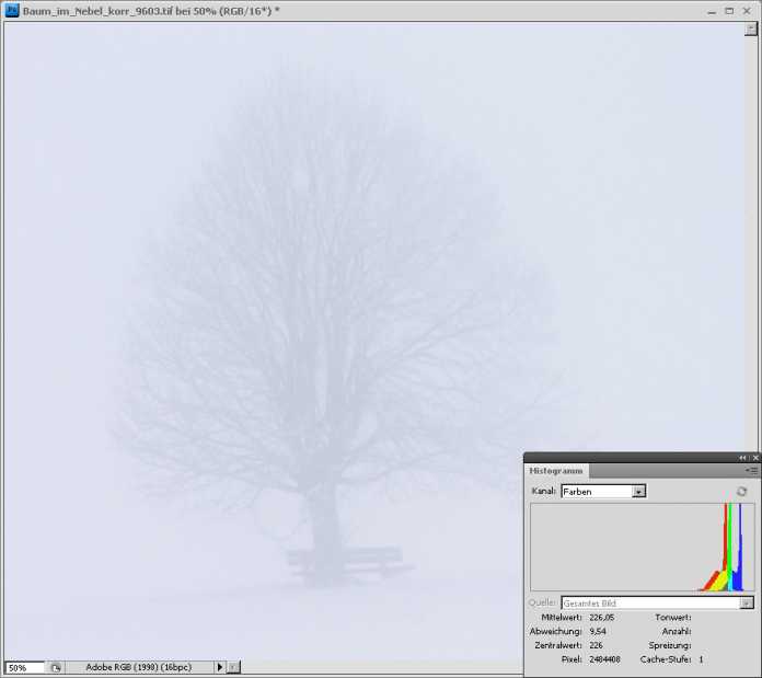 Diese Variante von &quot;Baum im Nebel&quot; wurde stark aufgehellt und der Kontrast in den Lichtern verstärkt. Der leichte Blaustich verleiht dem Foto eine Stimmung von Kälte.