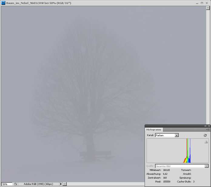 Baum im Nebel – unkorrigierte Version nach der Aufnahme, durch die Belichtung auf den Nebel erscheint dieser ziemlich grau.