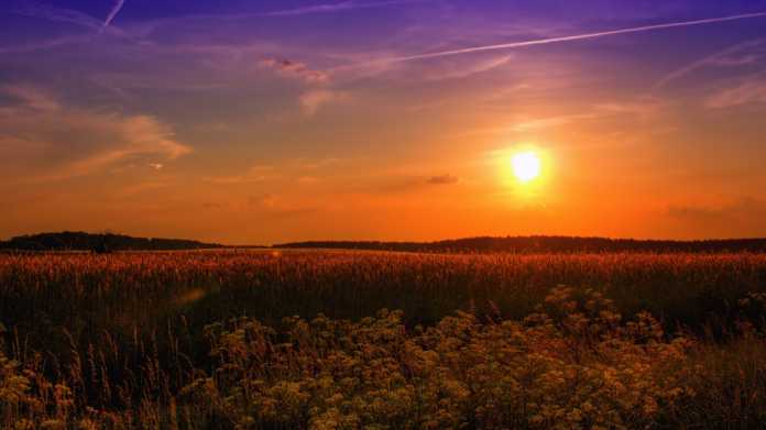Ruhe, Sonne Sommer