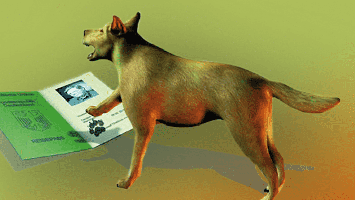 Kerberos Hund Cerberus Lostpedia FANDOM powered by Wikia