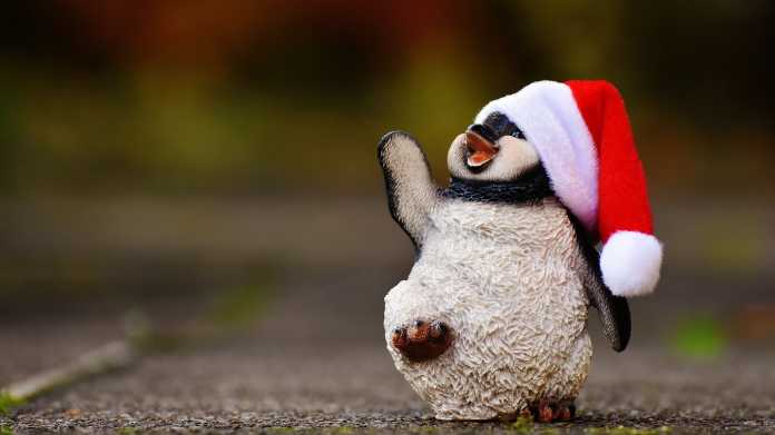Junger Pnguin mit Weihnachtsmannmütze