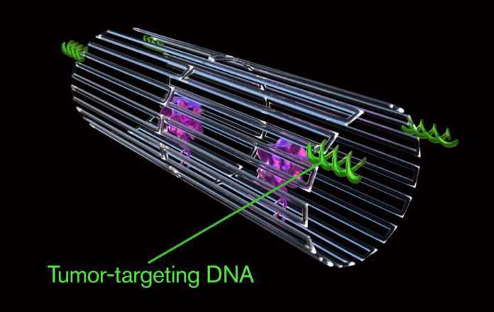 Nanoroboter schnüren Krebszellen ab