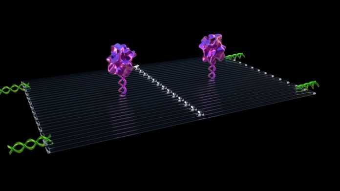 Nanoroboter schnüren Krebszellen ab