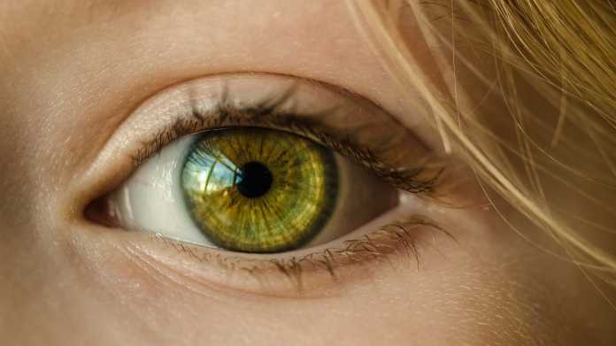 Google KI-Algorithmus kann Herzerkrankungen durch Augen-Diagnose vorhersagen