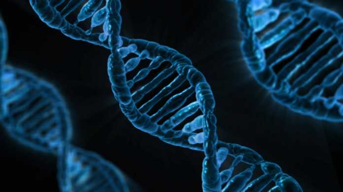 200 Megabyte Daten in DNA gespeichert