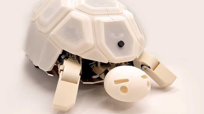 Roboterschildkröte Shelly