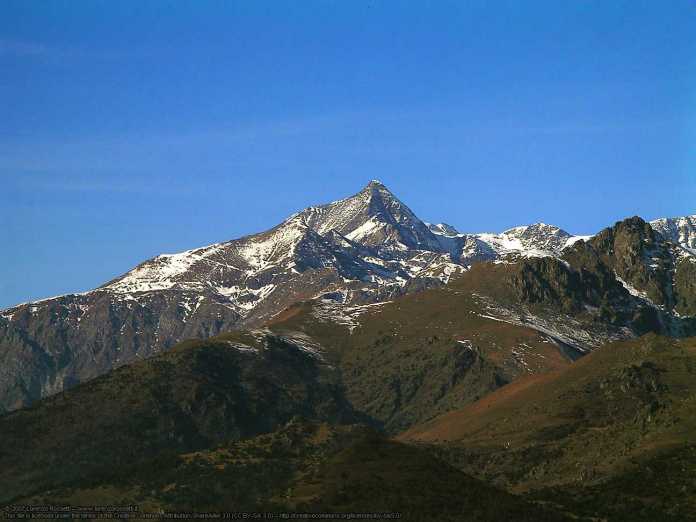 Heute findet man Alpenrispengras auch auf dem 3500 Meter hohen Rocciamelone in den Alpen.