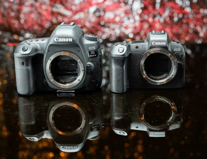 Canon EOS R vs 5D M IV