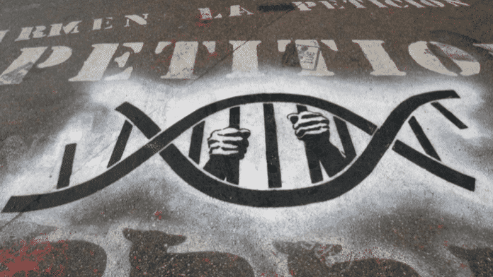 Wenn DNA zum Datengau wird