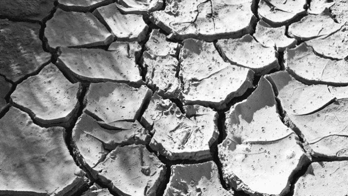 Forscher: "Zehnttausende Tote" durch Klimawandel in den USA