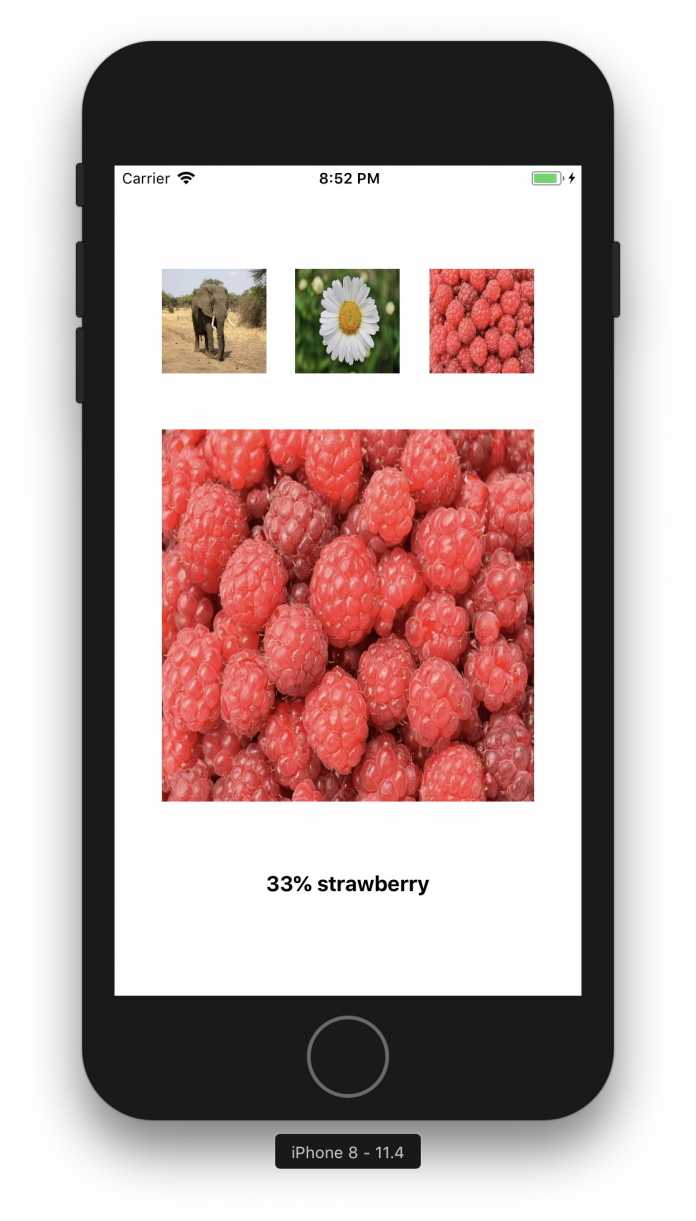 Die Himbeeren erkennt das System fälschlich als Erdbeeren (Abb. 3).