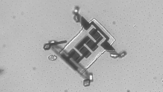 Vierbeinige Mikroroboter krabbeln durch den Körper