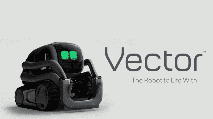 Anki Vector