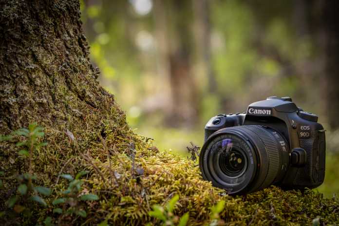Canon EOS 90D im Wald