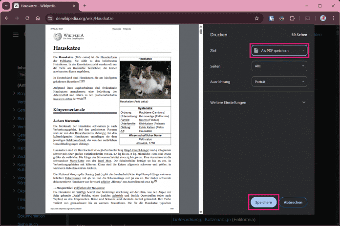 PDF in Chrome speichern