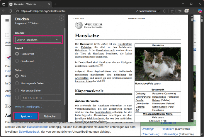 PDF in Edge speichern