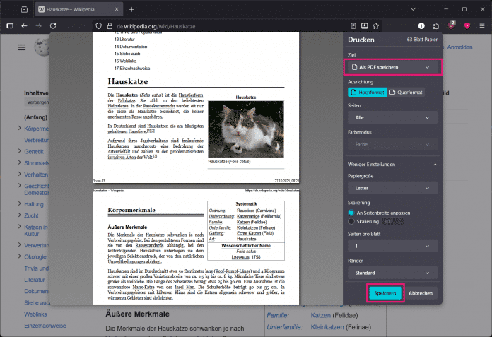 PDF in Firefox speichern