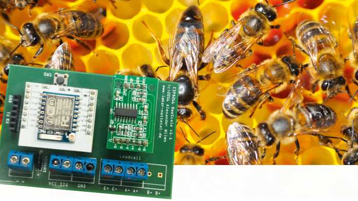 Der IoT-Bienenstock