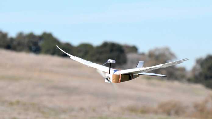 PigeonBot: Gefiederter Robotervogel mit formbaren Flügeln